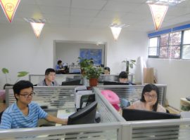 Vizualizare din fabrică